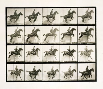 Mies ja hevonen hyppäämässä aidan yli, 1887 tekijältä Eadweard Muybridge