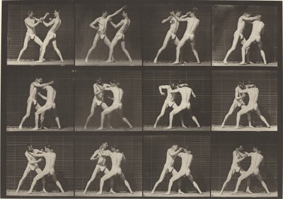 Kilpi numero 340. Nyrkkeily, avokäsikengät, 1887. tekijältä Eadweard Muybridge