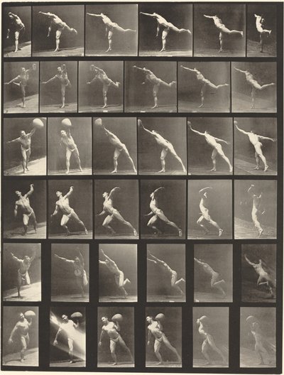 Kilven numero 523. V: Isku. B, E: Heittolevy. C, F: Nostaa 75-lb. Kivi..., 1887. tekijältä Eadweard Muybridge