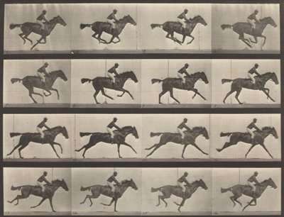 Kilpinumero 626. Laukka, täysiverinen lahdentamma, Annie G., 1887. tekijältä Eadweard Muybridge