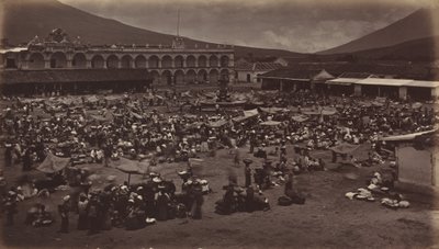 Plaza ja Viceroy