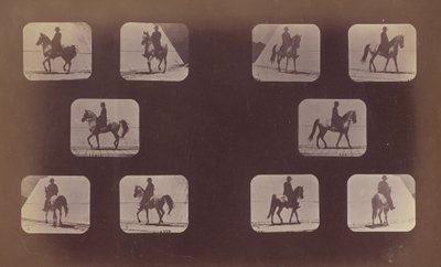 Ennalta lyhennyksiä koskevat tutkimukset. Hevoset. Kävely. Mahomet. No. 119-120, 1879. tekijältä Eadweard Muybridge
