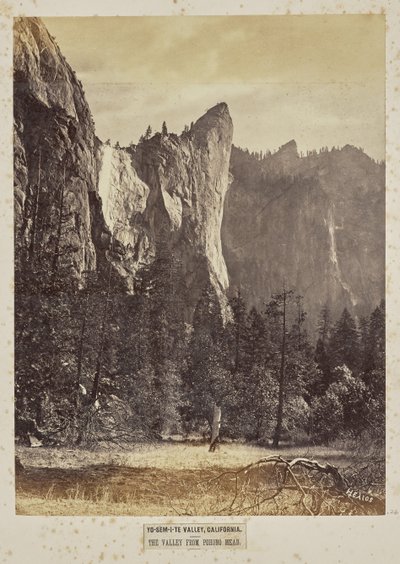 Yo-Sem-i-te Valley, Kalifornia. Laakso Pohono Meadowsista tekijältä Eadweard J. Muybridge