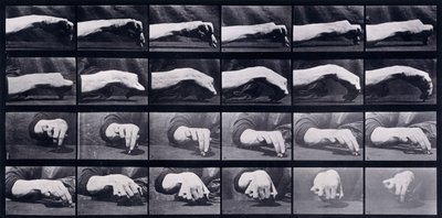 A Motion Study of a Hand, n. 1872-1885 tekijältä Eadweard Muybridge
