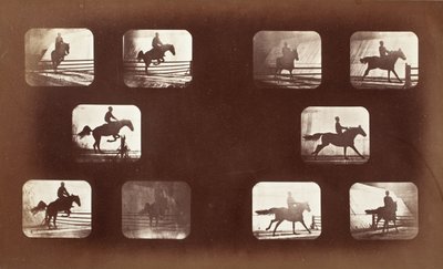 Eläinten liikkuminen (mies hevosen selässä esteiden yli) tekijältä Eadweard Muybridge
