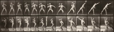 Eläinten liikkuminen (levy 319) (Mies heittää palloa) tekijältä Eadweard Muybridge