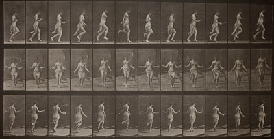 Eläinten liikkuminen, levy 174 tekijältä Eadweard Muybridge