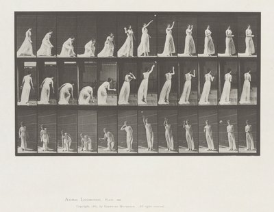 Animal Locomotion, levy 305 tekijältä Eadweard Muybridge