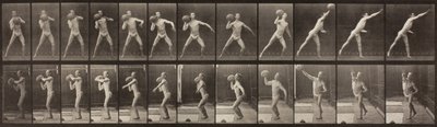 Animal Locomotion, levy 319, 1887 tekijältä Eadweard Muybridge