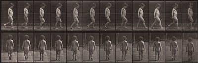 Eläinten liikkuminen, levy 467 tekijältä Eadweard Muybridge