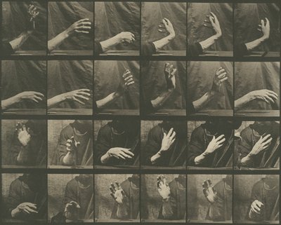 Eläinten liikkuminen, levy 535 tekijältä Eadweard Muybridge