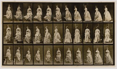 Portaiden laskeutuminen ja kääntyminen, kirjasta Animal Locomotion (Eläinten liikkuminen). tekijältä Eadweard Muybridge