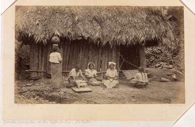 Kahvinpoimijoiden kotityöt, Las Nubes, Guatemala tekijältä Eadweard Muybridge