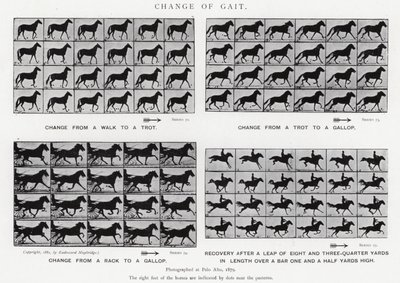 Eadweard Muybridge: Kävelymuutos (m/w kuva) tekijältä Eadweard Muybridge