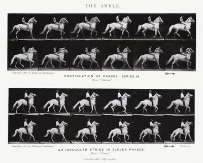 Eadweard Muybridge: The Amble (m/w kuva) tekijältä Eadweard Muybridge