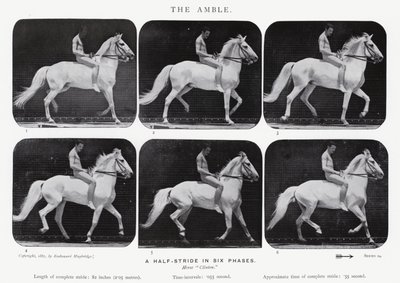 Eadweard Muybridge: Amble tekijältä Eadweard Muybridge