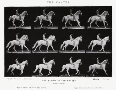 Eadweard Muybridge: The Canter (m/w kuva) tekijältä Eadweard Muybridge