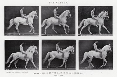 Eadweard Muybridge: The Canter (m/w kuva) tekijältä Eadweard Muybridge