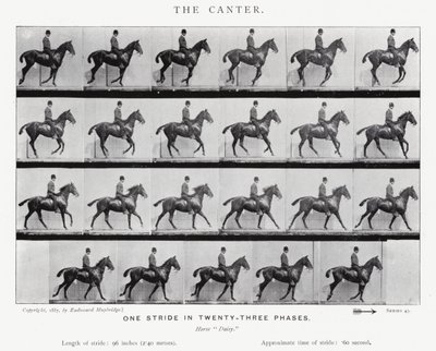 Eadweard Muybridge: Laukka tekijältä Eadweard Muybridge
