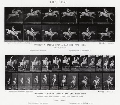 Eadweard Muybridge: The Leap (m/w kuva) tekijältä Eadweard Muybridge