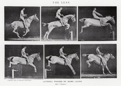 Eadweard Muybridge: The Leap (m/w kuva) tekijältä Eadweard Muybridge