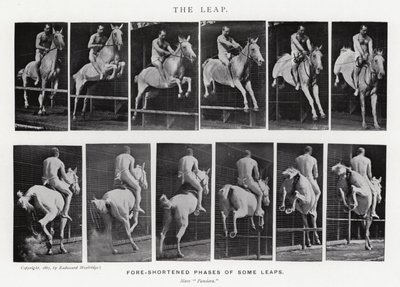 Eadweard Muybridge: The Leap (m/w kuva) tekijältä Eadweard Muybridge