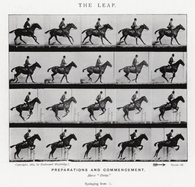 Eadweard Muybridge: The Leap (m/w kuva) tekijältä Eadweard Muybridge