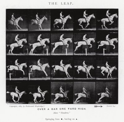 Eadweard Muybridge: The Leap (m/w kuva) tekijältä Eadweard Muybridge