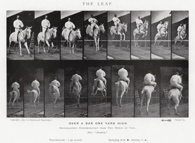 Eadweard Muybridge: The Leap (m/w kuva) tekijältä Eadweard Muybridge