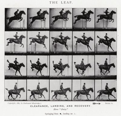 Eadweard Muybridge: The Leap (m/w kuva) tekijältä Eadweard Muybridge