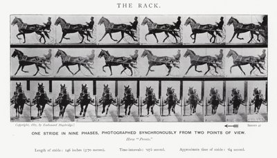 Eadweard Muybridge: The Rack (m/w kuva) tekijältä Eadweard Muybridge
