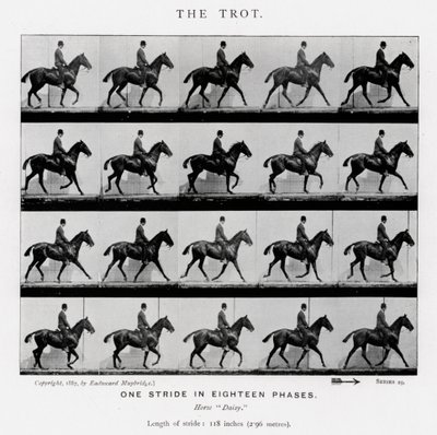Eadweard Muybridge: Ravi tekijältä Eadweard Muybridge