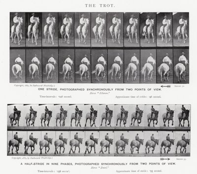 Eadweard Muybridge: Ravi tekijältä Eadweard Muybridge