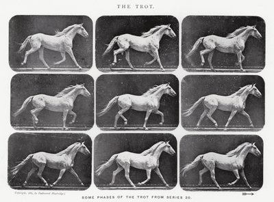 Eadweard Muybridge: Ravi tekijältä Eadweard Muybridge