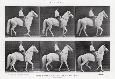 Eadweard Muybridge: The Walk (m/w kuva) tekijältä Eadweard Muybridge
