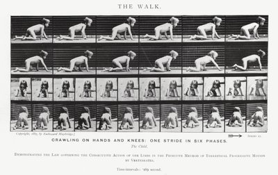 Eadweard Muybridge: The Walk (m/w kuva) tekijältä Eadweard Muybridge