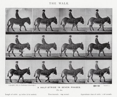 Eadweard Muybridge: The Walk (m/w kuva) tekijältä Eadweard Muybridge