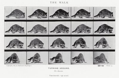 Eadweard Muybridge: The Walk (m/w kuva) tekijältä Eadweard Muybridge