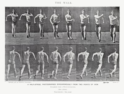 Eadweard Muybridge: The Walk (m/w kuva) tekijältä Eadweard Muybridge