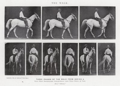 Eadweard Muybridge: The Walk (m/w kuva) tekijältä Eadweard Muybridge