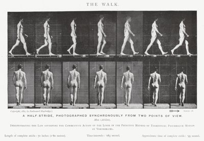 Eadweard Muybridge: The Walk (m/w kuva) tekijältä Eadweard Muybridge