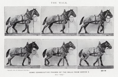 Eadweard Muybridge: The Walk (m/w kuva) tekijältä Eadweard Muybridge