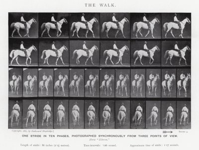 Eadweard Muybridge: The Walk (m/w kuva) tekijältä Eadweard Muybridge
