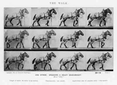 Eadweard Muybridge: Kävely tekijältä Eadweard Muybridge