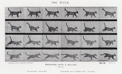 Eadweard Muybridge: Kävely tekijältä Eadweard Muybridge