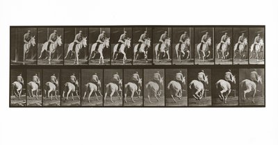Ratsastava hevonen ja ratsastaja, levy 635 teoksesta Animal Locomotion, 1887. tekijältä Eadweard Muybridge