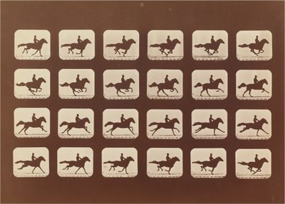 Hevoset. Juoksemassa. Phyrne L. nro 40 tekijältä Eadweard Muybridge