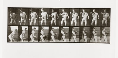 Mies nostamassa käsipainoa, levy 324 Animal Locomotionista, 1887 tekijältä Eadweard Muybridge