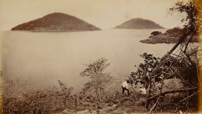 Perico ja Flamenco - Naosin saarelta, Panamasta tekijältä Eadweard Muybridge