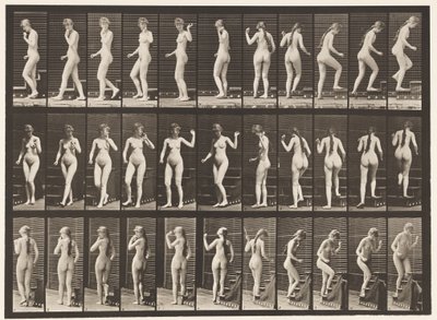 Levy 101. Kääntyvät ja nousevat portaat, heiluttava käsi, 1872-1885 tekijältä Eadweard Muybridge